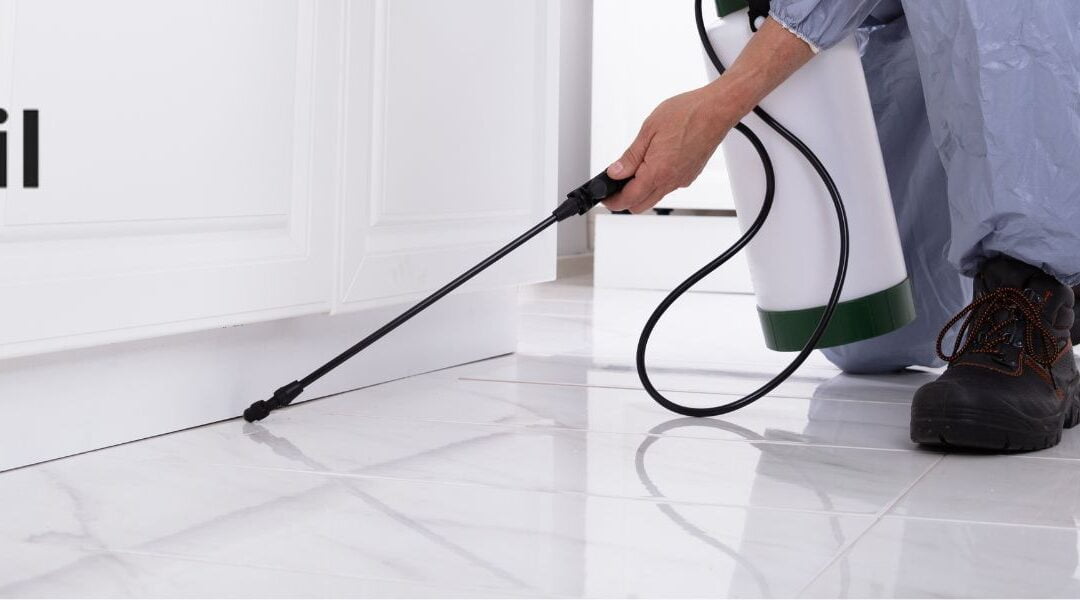 5 Essential Tips for Effective Restaurant Pest Control