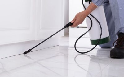 5 Essential Tips for Effective Restaurant Pest Control