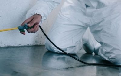 What Are the 3 Methods of Pest Control? A Simple Guide for UK Homes and Businesses