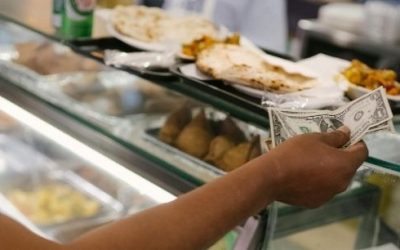 Food Pests: How to Identify, Prevent, and Control Infestations in UK Food Businesses